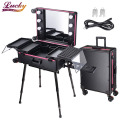 Rolling Makeup Case  with LED Light Mirror Adjustable Legs Detachable Wheel Train Studio Artist Cosmetic